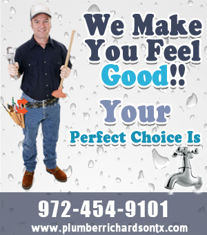 toilet-repair-plumbing-service